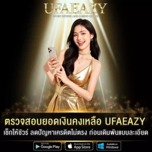 ตรวจสอบยอดเงินคงเหลือ